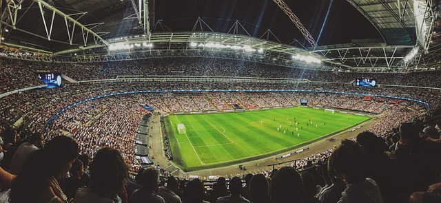 Türkiye Futbol Federasyonu ve Ülke Futbolu Arasındaki İlişki