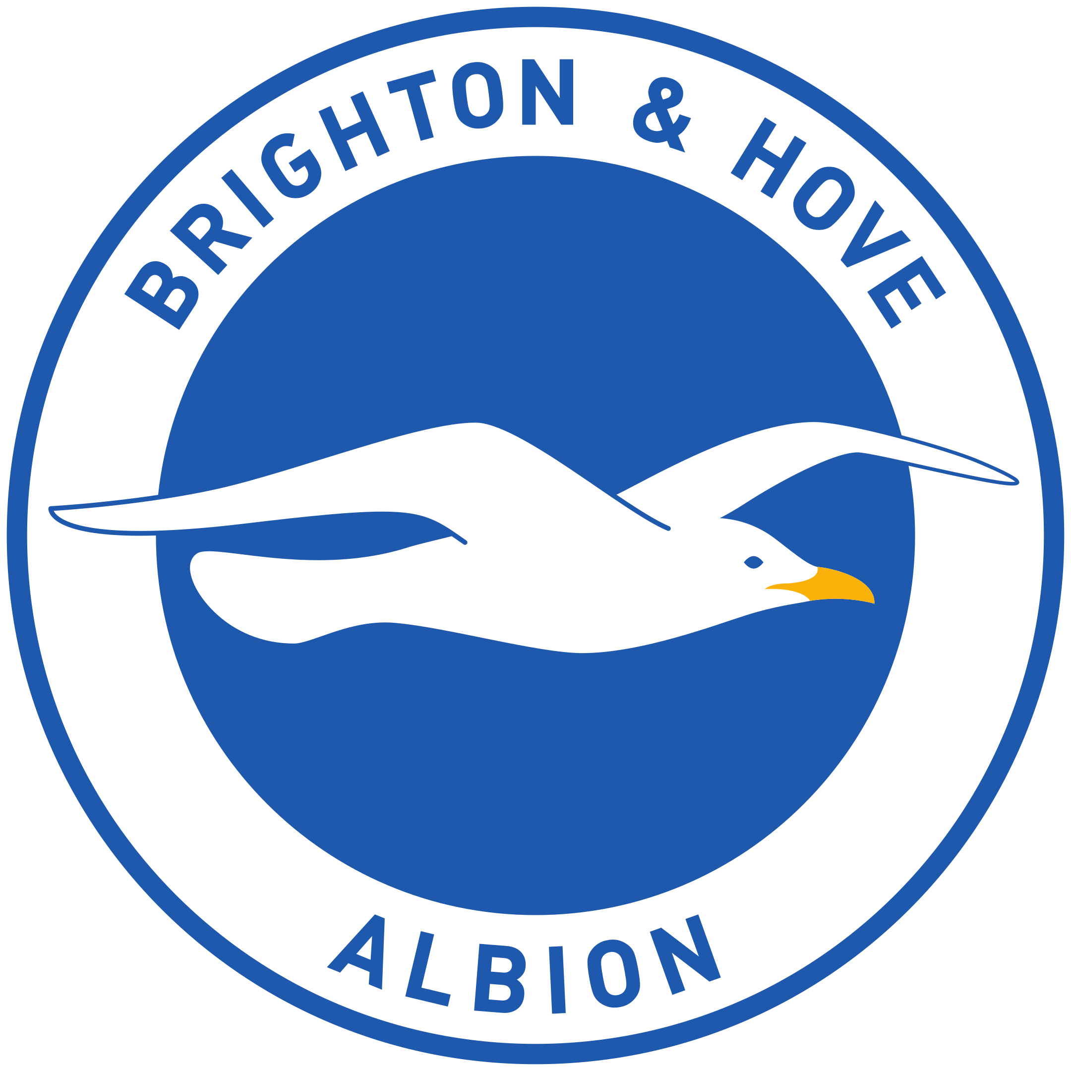 Albion FC Futbol Takımı Hakkında Bilgi | Uruguay Primera - Apertura Albion FC Hakkında Bilgi