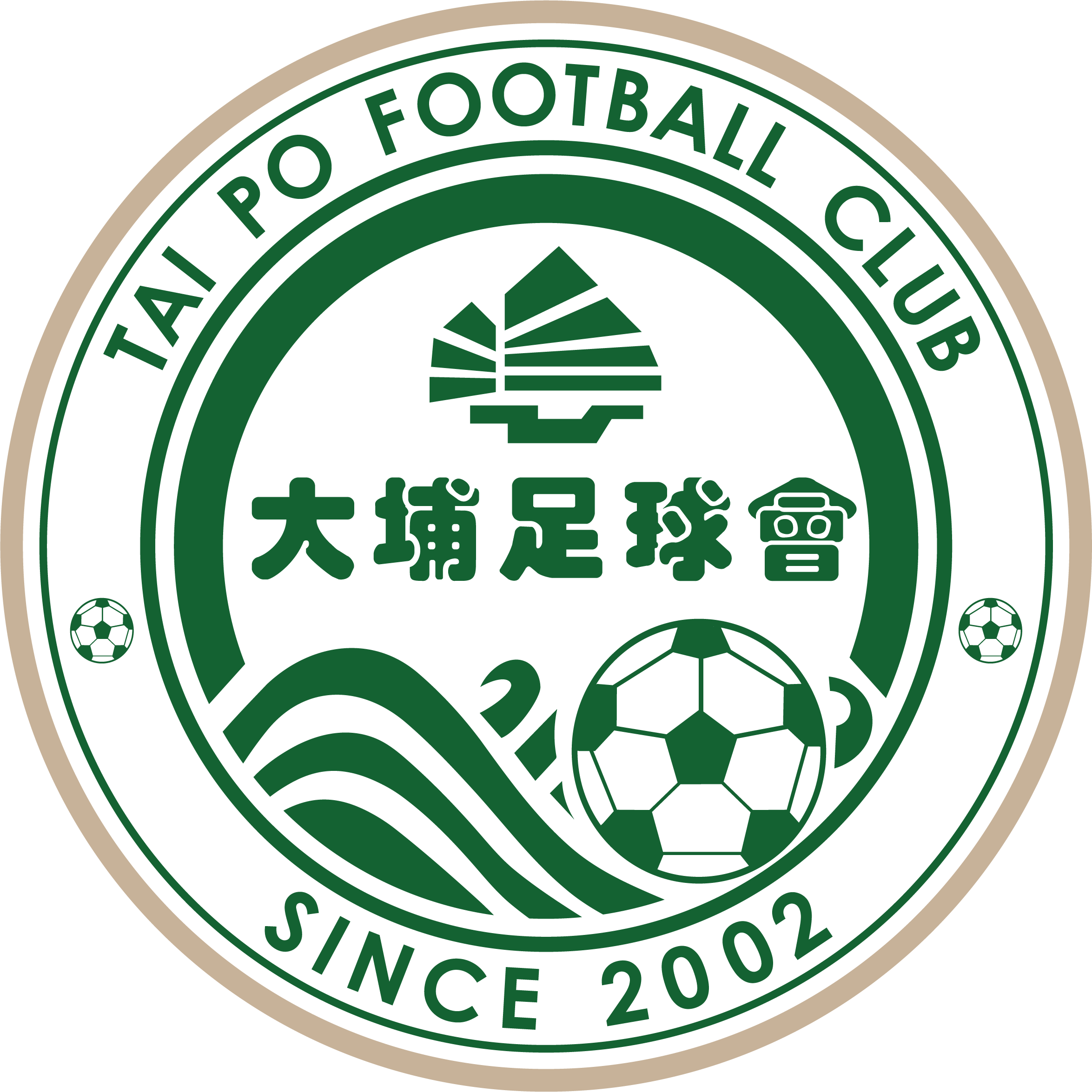 Wofoo Tai Po Futbol Takımı Hakkında Bilgi | Hong Kong 1. Ligi Wofoo Tai Po Hakkında Bilgi